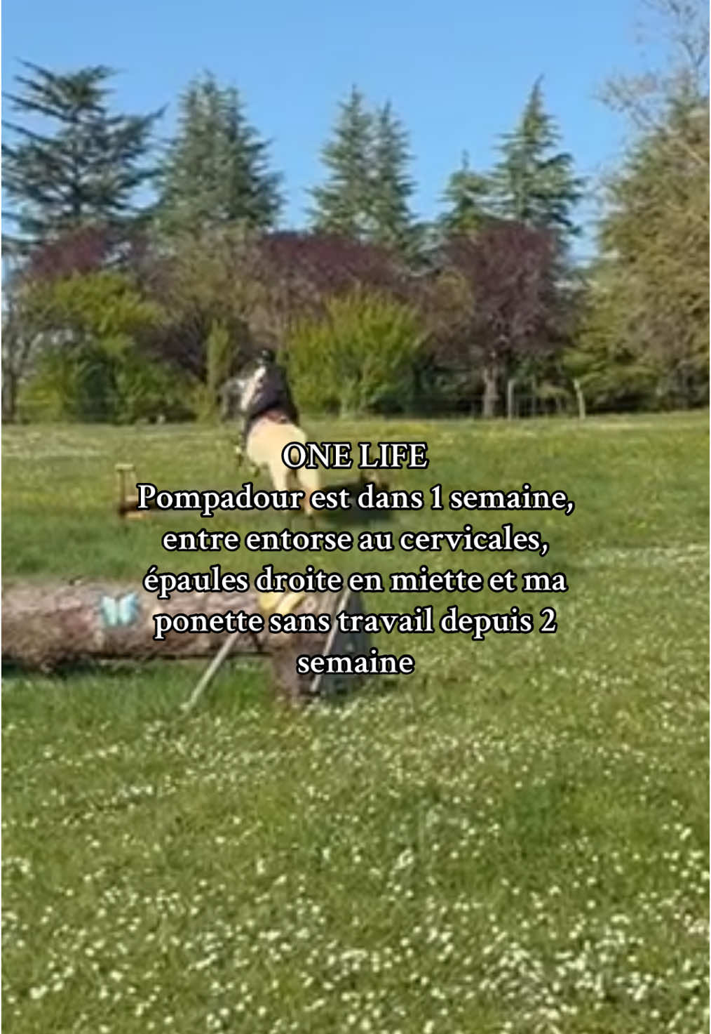 😬😬#equitation #pourtoi #horses #fypシ #cheval #cross #cce 