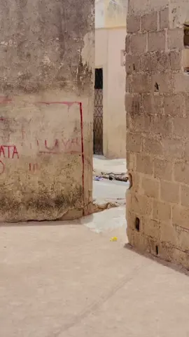 Omg 😱 run woo 🏃‍♀️ 