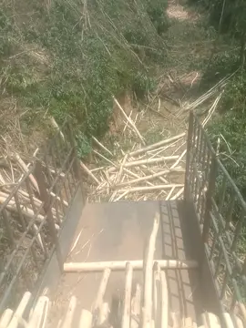 như vậy cũng đủ ăn rồi 😂#xetai #dongfeng 