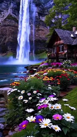 تلاوة خاشعة #قران كريم #الطبييعه #سبحان_الخالق #استغفرالله واتوب اليه #استغفرك ياحي ياقيوم واتوب اليك #لايك__explore___ 