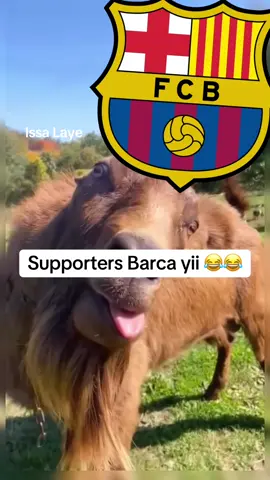 Wa Barca may lene niou diam depuis 2019 demo demi final 😂😂😂 #football #viral #ucl #barcelona 