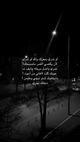 لو تدريَ معزتك .          #شعراء_وذواقين_الشعر_الشعبي #ستوري #شعر 