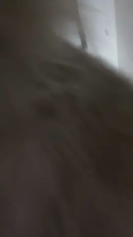 نتلني بالبداية 😅 #CapCut #اذكروا_الله_يذكركم #مربين_القطط #الشعب_الصيني_ماله_حل😂😂 