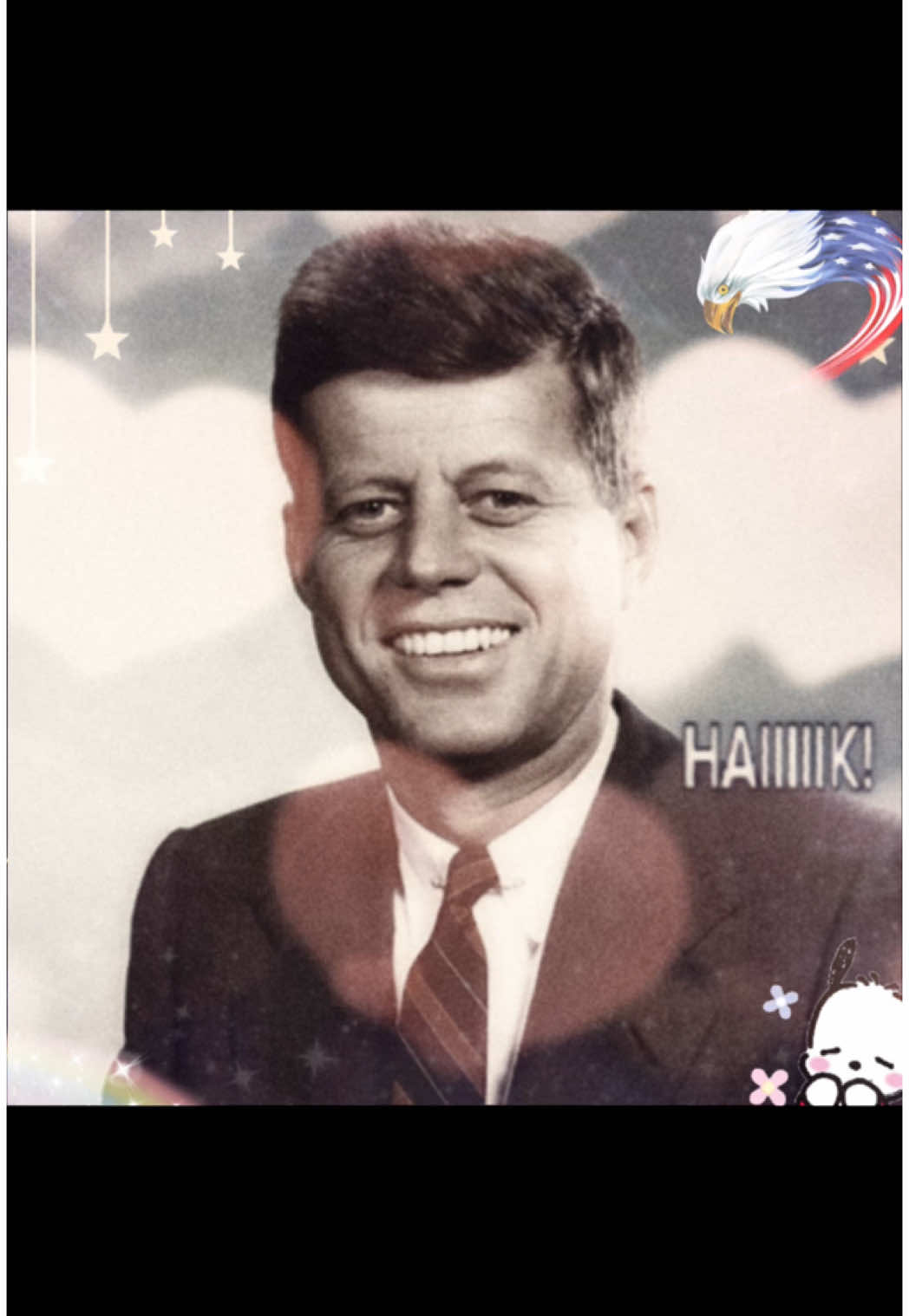 the only hope in america is this edit 🇺🇸  #jfk #nixon #eisenhower #andrewjackson #teddyroosevelt #johnfkennedy #obama #uspresident #usa #americacore #coquette #kawaii #jfkedit #sanrio 