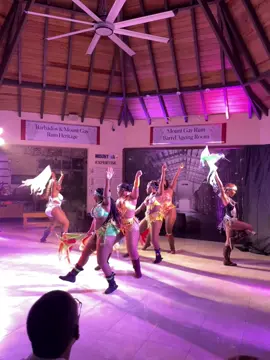 #wegathering2025 “So much bambam in de road”🔥💃🏾 Pinelands Creative Workshop bringing the festival vibes to Harrison’s Cave! 🇧🇧✨  #CropOverSpirit #FestivalDance #BajanCulture #PinelandsCreativeWorkshop #pcw #dance #culturallegacy #barbados #246 