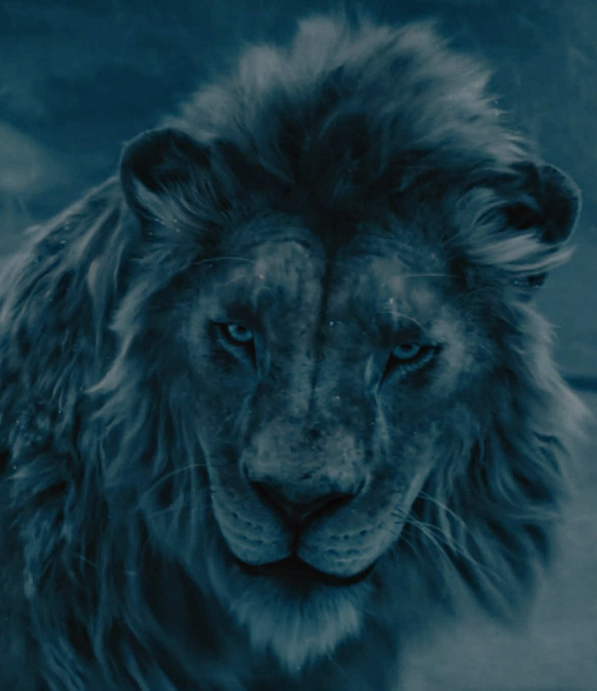 anything that moves. || #kiros #thelionking #edit #aestheticedits #disney #fyp #mufasathelionking 