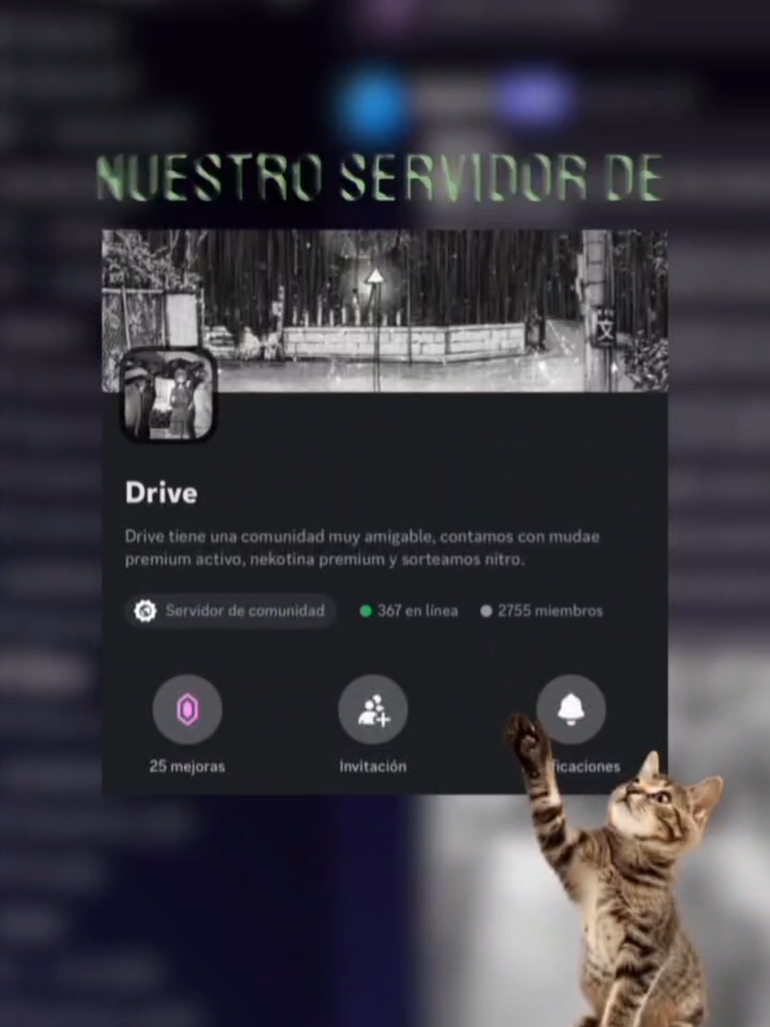 únete, link en biografía y comentario #amigos #serverdicord #amigostiktok #driveserver #Gaming #comunidadvalorant #ayudavalorant #team #chile #amigos #argentina #serverdediscord #fyp 