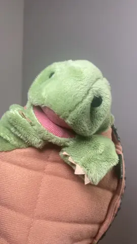 #turtletok #fyppp #fypツ #puppets #puppetsoftiktok #fyppppppppppppppppppppppp #puppet #handpuppet #fingerpuppets 
