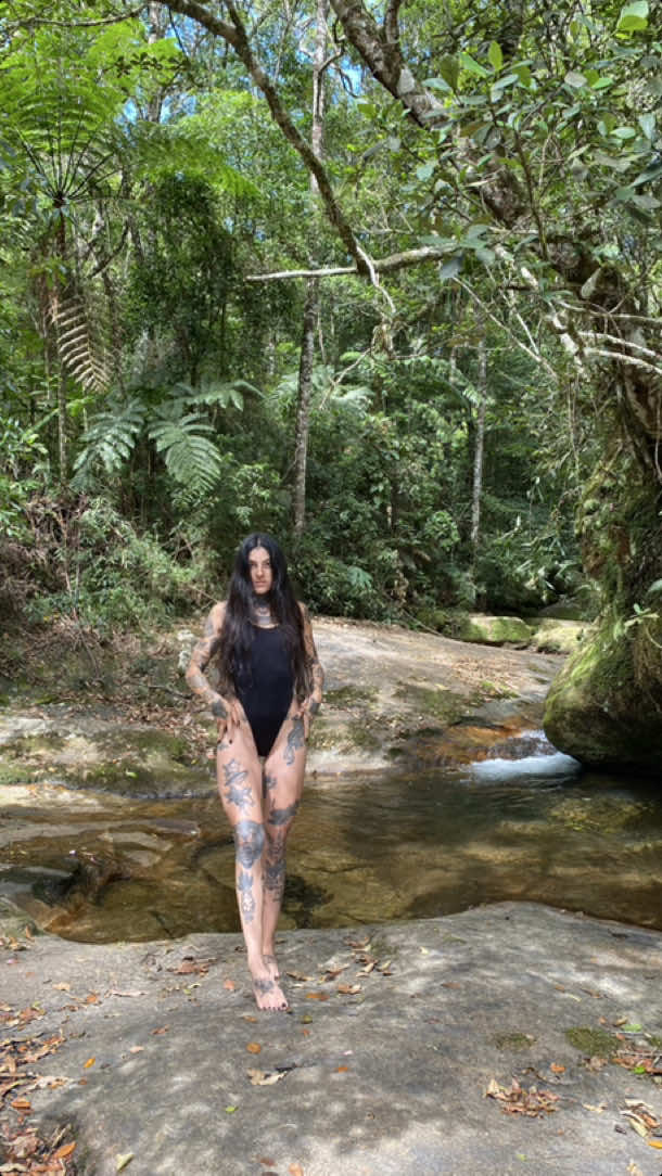 😄🍃🌳🌳🐊 🛖 