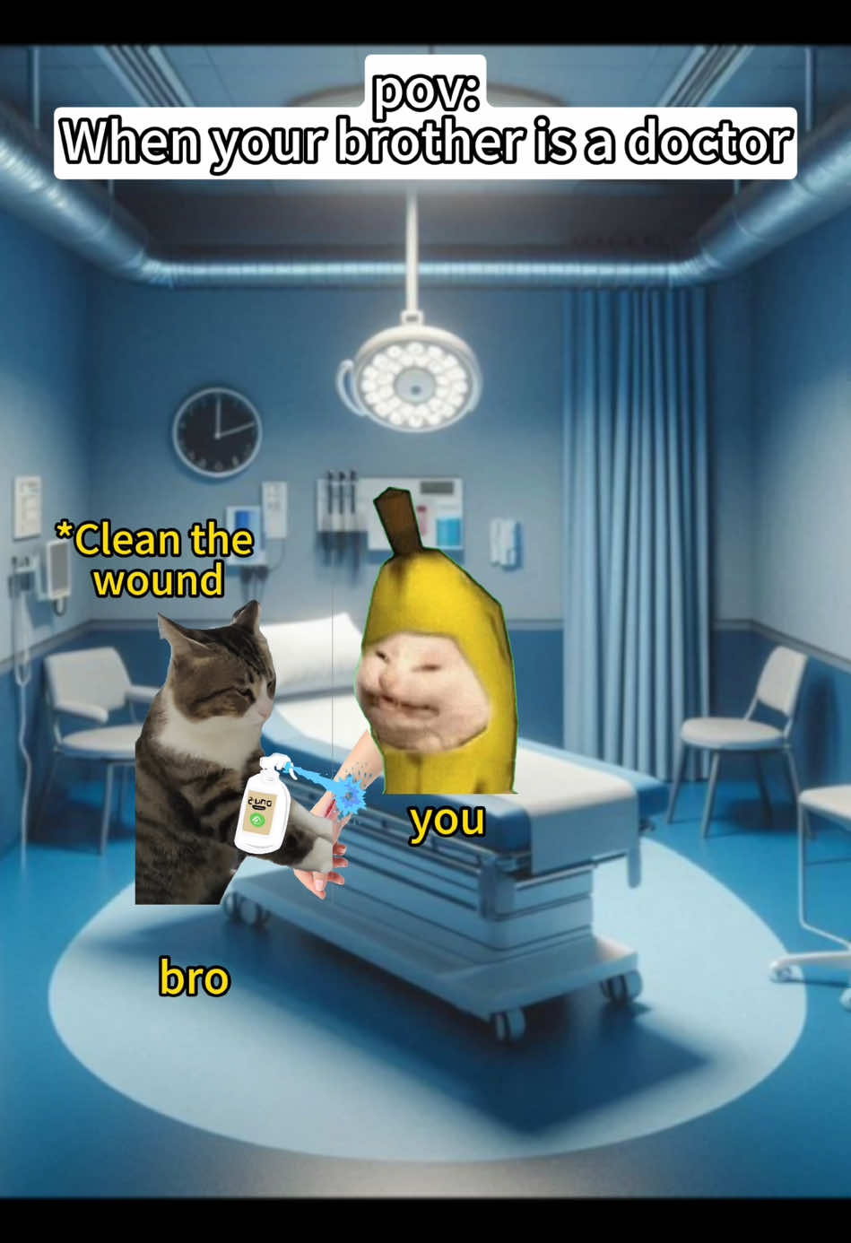 #catmeme #catsoftiktok #funny #cat #Foryou 