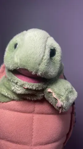 #turtletok #fyppp #fypツ #puppets #puppetsoftiktok #fyppppppppppppppppppppppp #puppet #handpuppet #fingerpuppets 