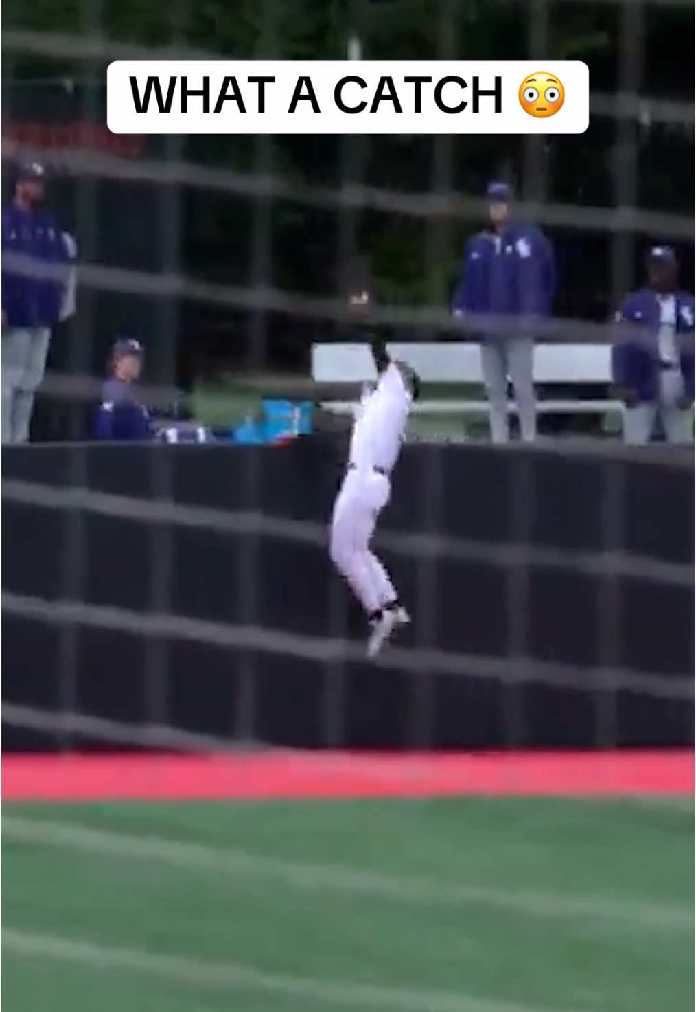 Saves the go ahead home run for Northeastern 🔥(via @gonubaseball) #collegebaseball #baseball 