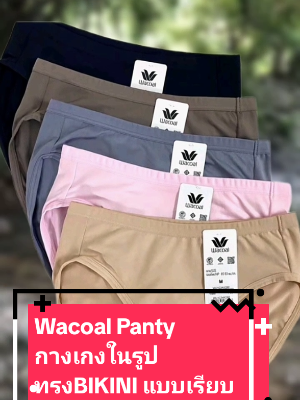 Wacoal Panty กางเกงในรูปทรงBIKINI แบบเรียบ#songkran2025 #กางเกงใน #ฟีดดดシ #tiktokแฟชั่น #กระแสมาแรง #แจงแจง 