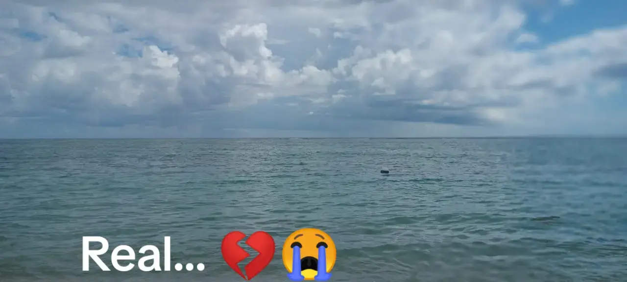 Pls make dua for palestine🙏❤️🇵🇸🇵🇸🇵🇸#likezafrlah🔥🦋 #viral🇲🇺🌍✌ #sadstory #freepalestine🇵🇸❤️ #palestine make dua for Palestine 