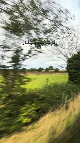 اللهم قُل لما في قلبي كُن فيكون🤍