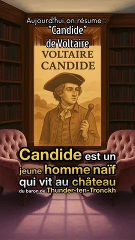 Réponse à @Nadia A... On résume : « Candide » de Voltaire #apprendresurtiktok #culturetiktok #litterature #france #livre #philosophie #LearnOnTikTok #culturegenerale 