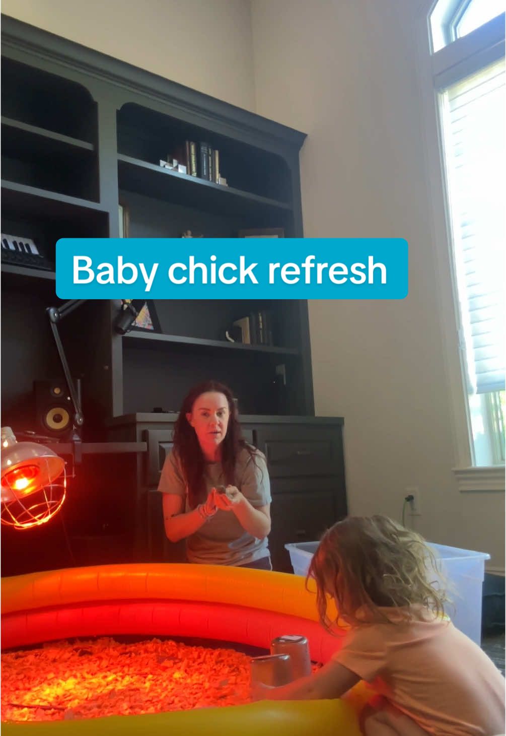 15 baby chick bedding refresh. They are still indoors for a couple more weeks! #chicken #babychicks #farm 