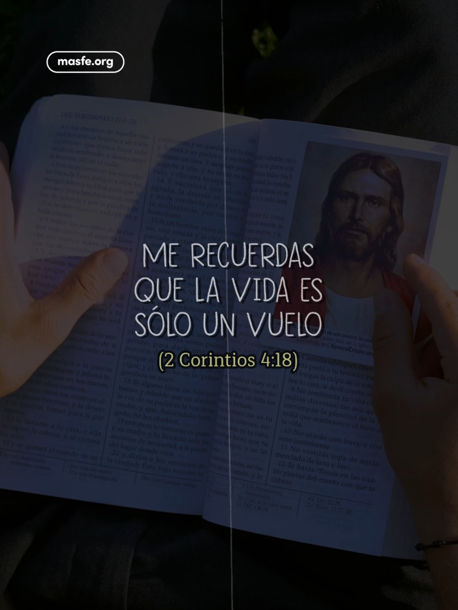 Solo tú, Señor le das sentido a mi vida ❤️✨ #solotu #clasicos #jesus #dedicatoria #musicaparadedicar #cristianos #musical #sud #masfe