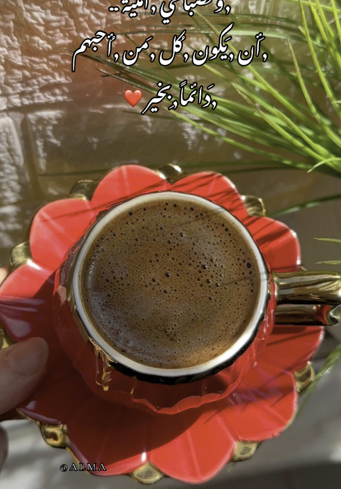 #صباحكم_أحلى_صباح #صباح_الخير #alma_nani #☕️ #your_coffee #قهوتي #بس_احكيني#صباحات#رواق