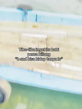 Ib:lewat beranda #fyp #nttpride🏝🔥 #katakata #kupangtiktok #fypp #timur #ambonpride🏝🔥 #fyppppppppppppppppppppppp 