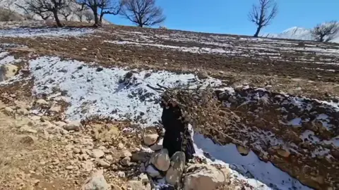 haadha fi abbaa 🙏#raayyaa_abbaa_maccaa #motherhood #ibsisha_go #fyyyyyyyyyyyyyyyy #ethiopian_tik_tok #foryoupage #oromotiktok @Sar San SHOW 1🔹 @IBSISHAGO🦋🤍 @Makiiiiioro🦋🤍 @Raayyaa Abbaa Maccaa 