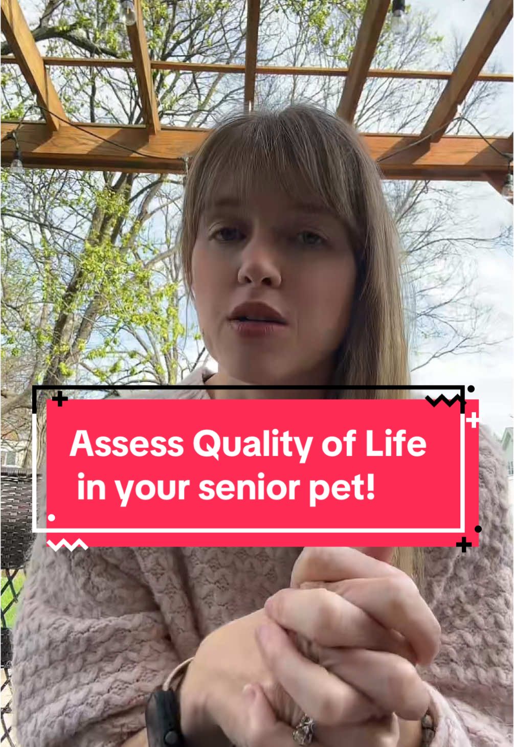 Knowing when to say goodbye is the hardest part of loving a senior pet 💔 These 7 signs can help you make that decision with love: Hurt, Hunger, Hydration, Hygiene, Happiness, Mobility, More good days than bad You’re not alone—we’re in this together 🐾 #SeniorPetLove #PetLossSupport #QualityOfLife #SeniorDogCare #SeniorCatCare #PetParents #EndOfLifeCare #PetWellness #SeniorPetTips #FurFamilyForever #PetGrief #vettok 