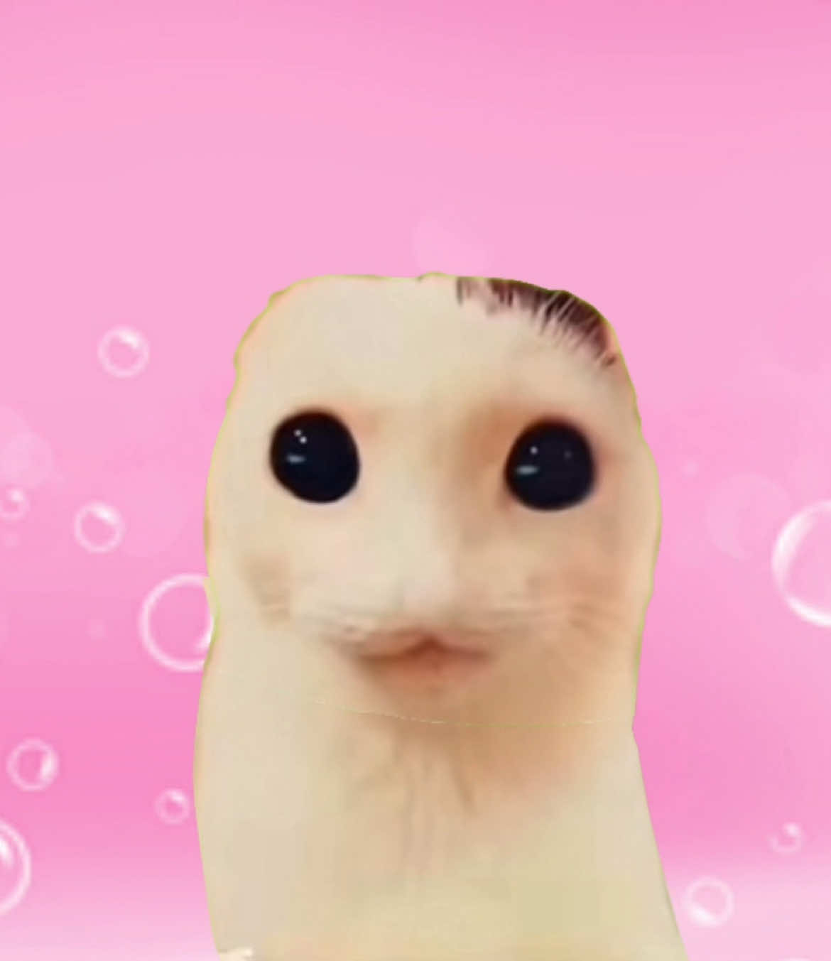 @⋆˚࿔ katie 𝜗𝜚˚⋆ @wow @unidentifiedmedia666 @Custom Wood Burning! @Cat Terdz AWWWW THIS PICTURE IS SO… 😈 -#customwoodburning #cwb #gachalife #animationmeme 