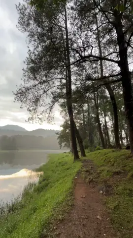 Suara alami pagi hari di Situ Patenggang, Ciwidey🍃 