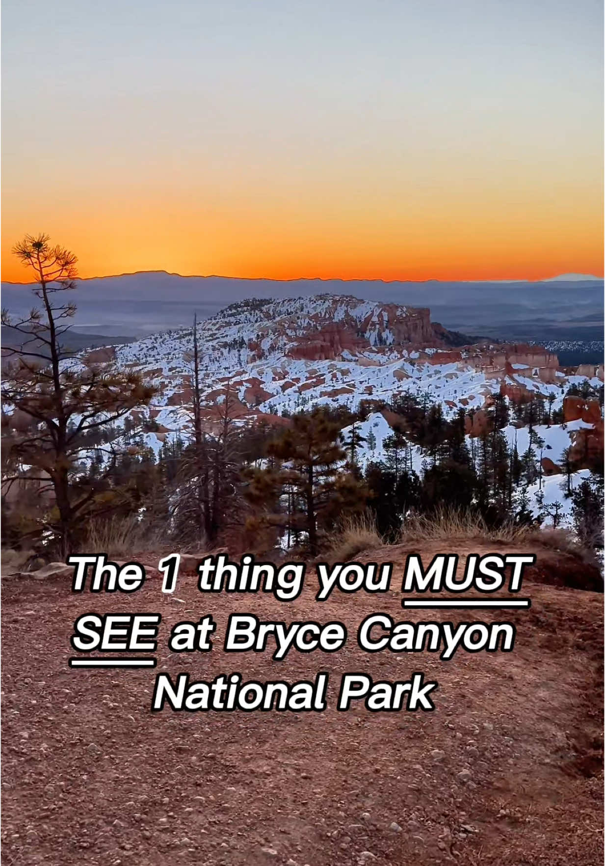 Witnessing the sunrise at Sunrise Point in Bryce Canyon National Park is pure magic. As the first light hits the hoodoos, the entire canyon glows with fiery reds and oranges—it’s a moment you’ll never forget. If you see only one thing here, let it be this. #BryceCanyon #BryceCanyonNationalPark #SunrisePoint #UtahIsRad #VisitUtah #NationalParksUSA #NatureLovers #EpicViews #TravelUSA #FamilyTravel #adventure #BucketListTravel #Wanderlust #HikingAdventures #SunriseMagic #ExploreMore #TravelTips #NaturePhotography #ScenicViews #getoutside #utah #brycecanyonnationalpark 