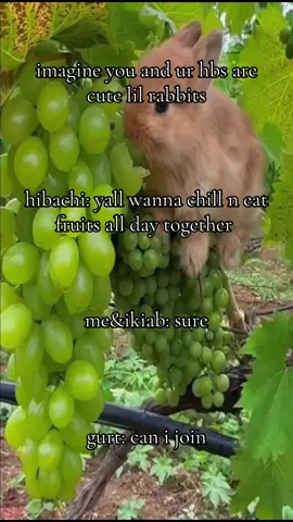 #fy #rabbits #bunny #grapes 