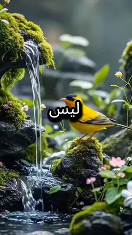 #كلام #موزون #  #😟😟 