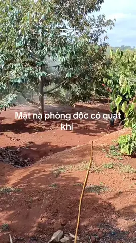 Mặt nạ bảo hộ lao động cho các bác đi phun sầu đây ạ #manaphunthuocsau #matnaphongdoc #matnaphongdoc3m6800 #matnachongdoc #matnaphongdoc3m #đăk_nông #taynguyen #ticktokviralvideo #binhphuoc #saigon #vungtau 