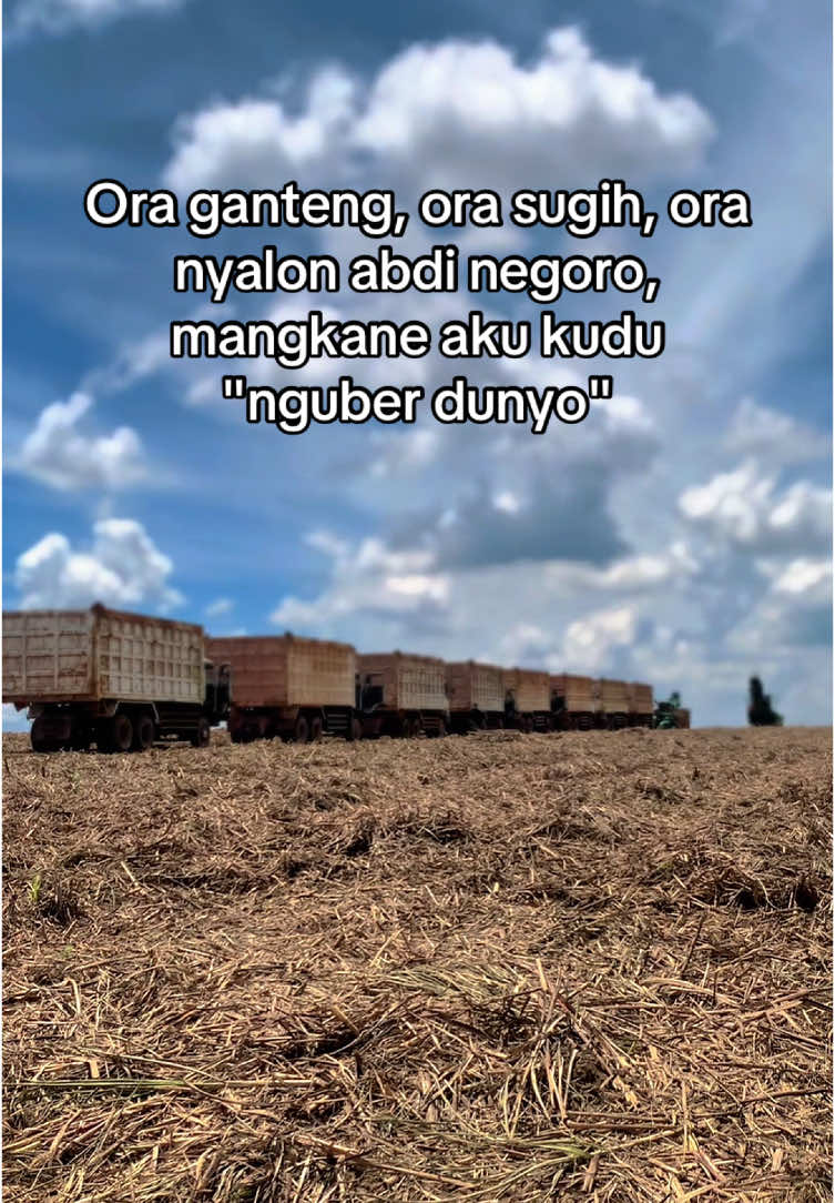 Seng penting halal #kuli #fypシ゚viral #aloy #drivermuda #fyppppppppppppppppppppppp #fypシ゚ #trending #viralvideo #nggkpernahfyp #kapanfyp #berandamu #drivertambang #storydriver #fyp #mraloy #velocity 