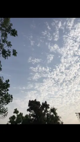 Vdအလွတ်​လေး😍✨ #တင်ချင်တာတင်မယ်ရောက်ချင်တာရောက်🥀🥀 #morning #fyp #foryou #foryoupage #livephoto #ဒါလေးတော့fypပေါ်ရောက်ပါကွာ 