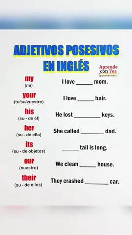 Inglés adjetivos posesivos 