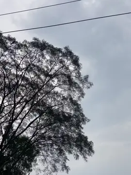 দেখা হয়ত আর হবে না! কিন্তু আমি তোমাকে ভুলবো না! 🙂❤️‍🩹#foryou #foryoupage❤️❤️ #trending #captionvideo #foryoupage #foryoupageofficial @TikTok @TikTok Trends 