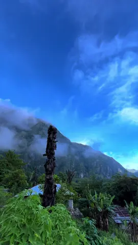 Foho Matebian hun(baguia) #timorleste🇹🇱 #tiktok #CapCut #fypシ゚ #foryoupageofficiall #baguia #matebianmountain⛰️🇹🇱 