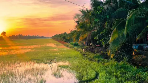 Má em chê anh nghèo #chill #binhyen #tamtrang #63tiengiang #binhminh #xu #lofi 