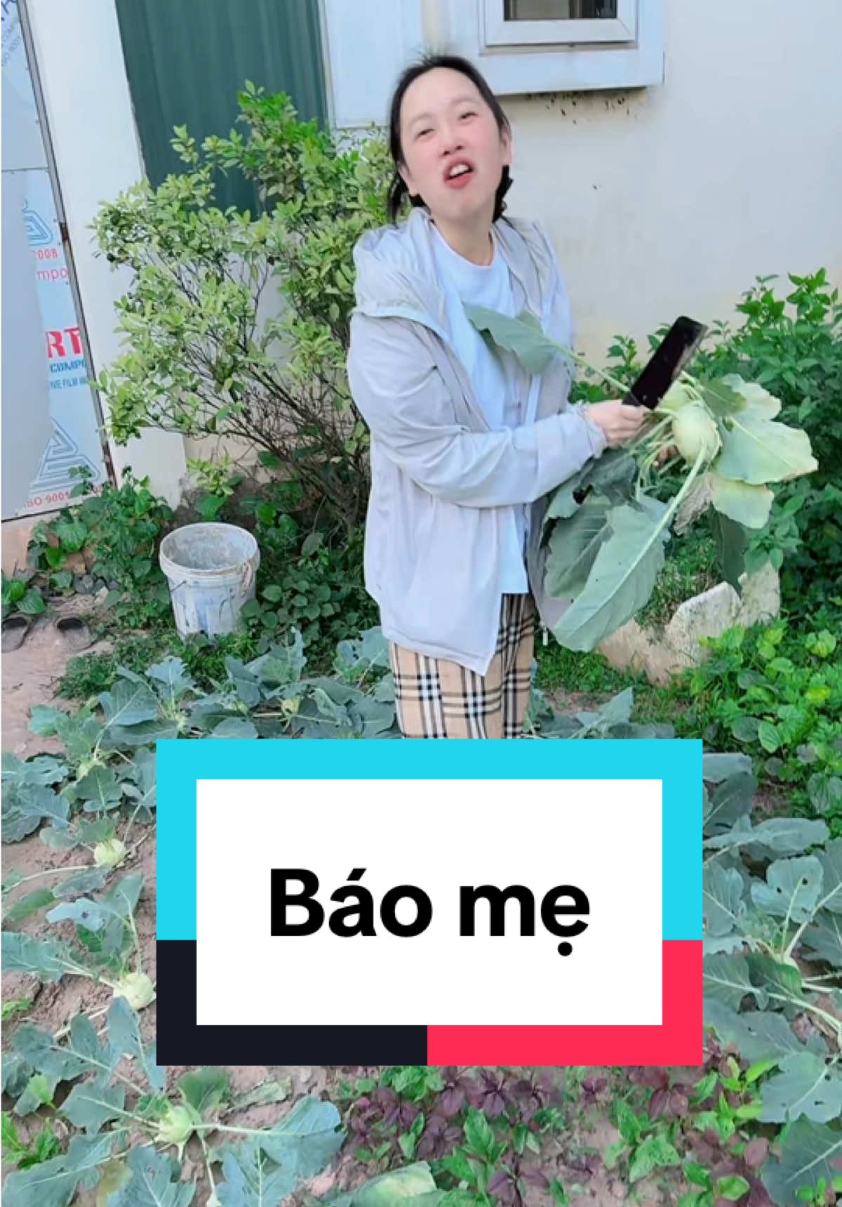 Xu hào mới nhú bà cũng thịt luôn , k tha cái gì 😂😂