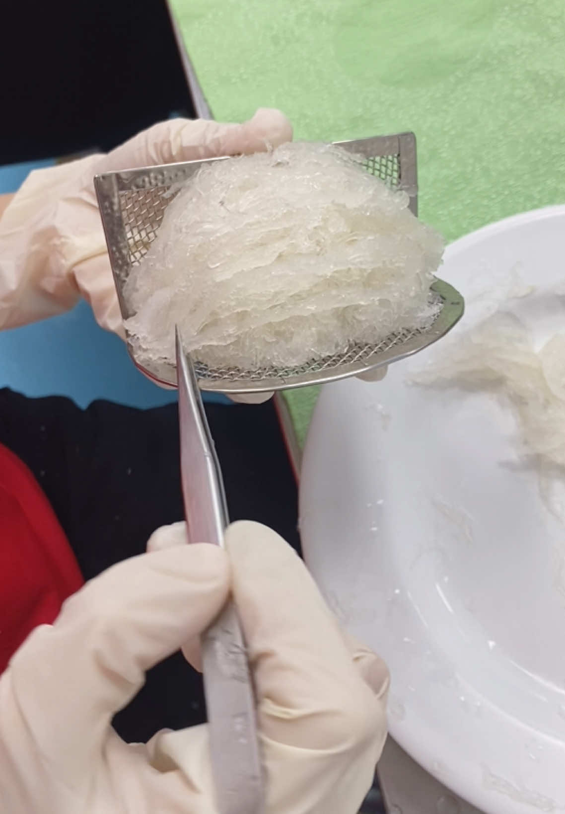 Yến tinh chế xưởng nhà em nhìn  ngon ngon quá ạ😊#yensaocaocap #yensaonguyenchat #xuhuong #trending #nhayenvietnam #yenhu #nhayen 