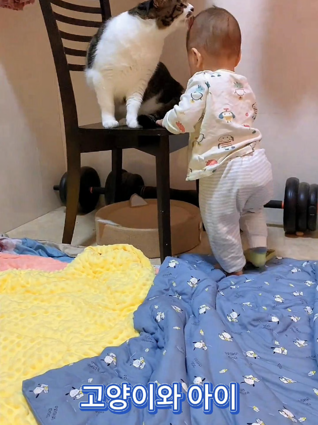 우린 깐부💞 냥이와 귀여운 아이와의 러블리 케미🥰😻 #cat #baby #cute #funny #happy #lovely #kittens