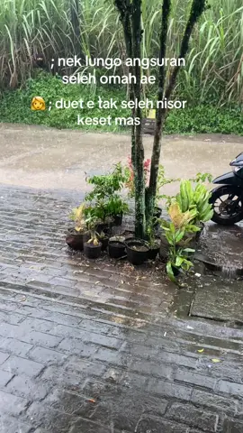 🫵🫵🫵#plecit #plecithitz #plecitnkri #plecitganteng😎 #fyppppppppppppppppppppppp 