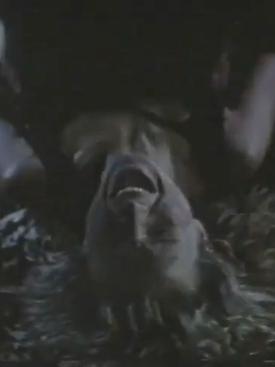 Summer Camp Nightmare (4/17/1987). #SummerCampNightmare #horror #horrortok #horrortiktok #movie #horrormovie 