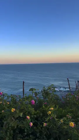 <3 #ocean #sunset #beach 