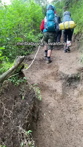 cocok untuk pemula🙏🏼#merbabuviasuwanting #merbabumountain #fyp #4you #mendaki 