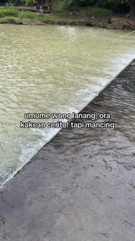 #storymancing 