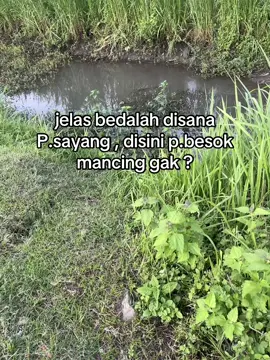 #foryoupage #mancing 