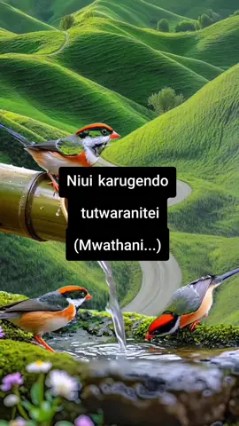 #kikuyutiktokers #fypp #FORYOU 