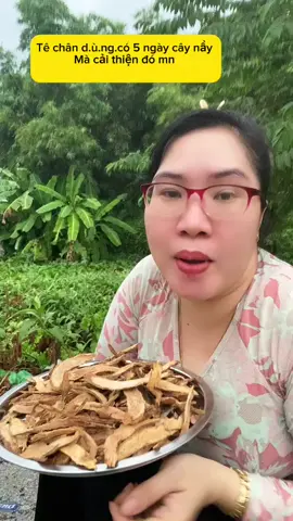 Cây thiên niên kiện#meonhangian #suckhoechomoinguoi #baithuochaymoingay #xuongkhop #thiennienkien  @Huỳnh Giao Xương Khớp 