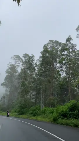 vibes tawangmangu berkabut #magetan24jam #tawangmangu #magetan #gununglawu #sarangan 